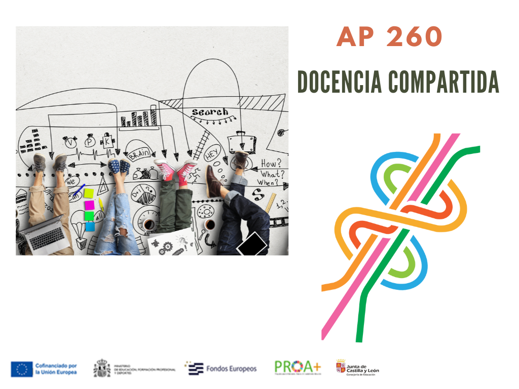 AP 260 DOCENCIA COMPARTIDA