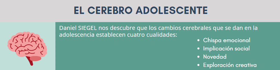 El cerebro adolescente. Tips inclusivos Neuroeducación